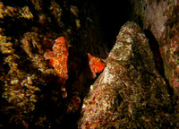 Beneath The Waves